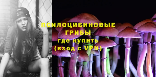 ALPHA-PVP Няндома