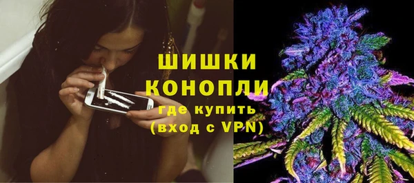 шишки Балабаново